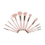 Set de brochas - Pink elegance (12 brochas)